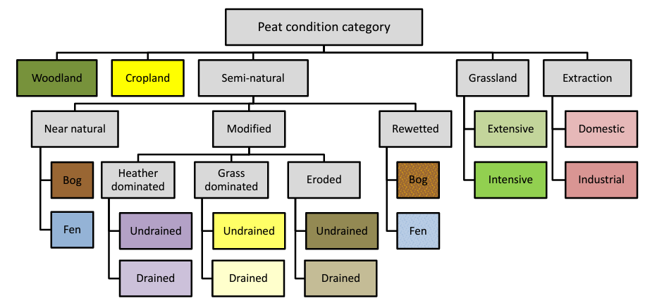 Structured diagram of peat land types