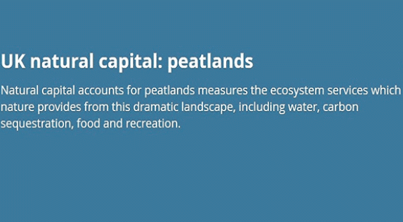 UK natural capital: peatlands